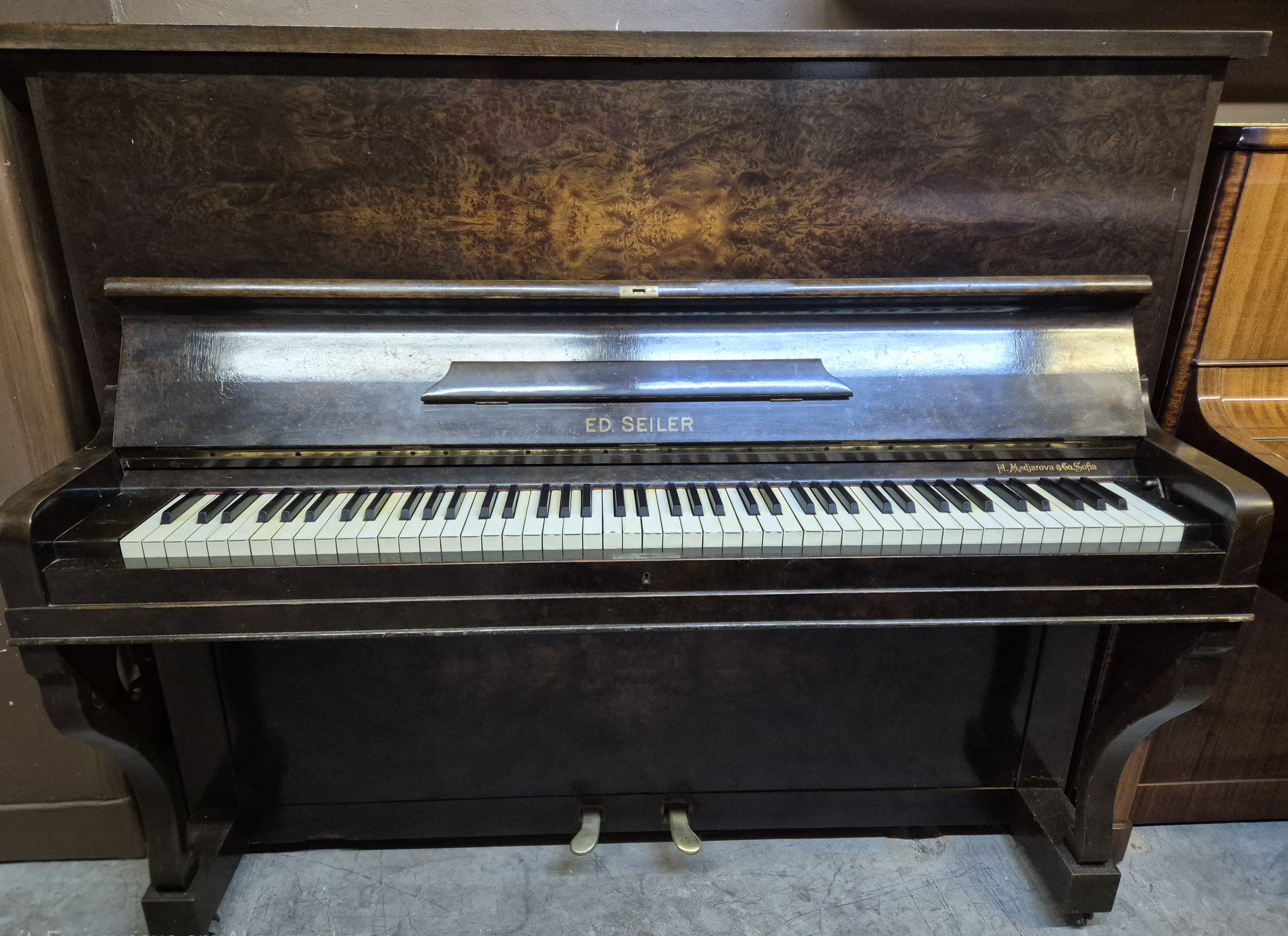 ������ ����� ED.SEILER | 800 ����